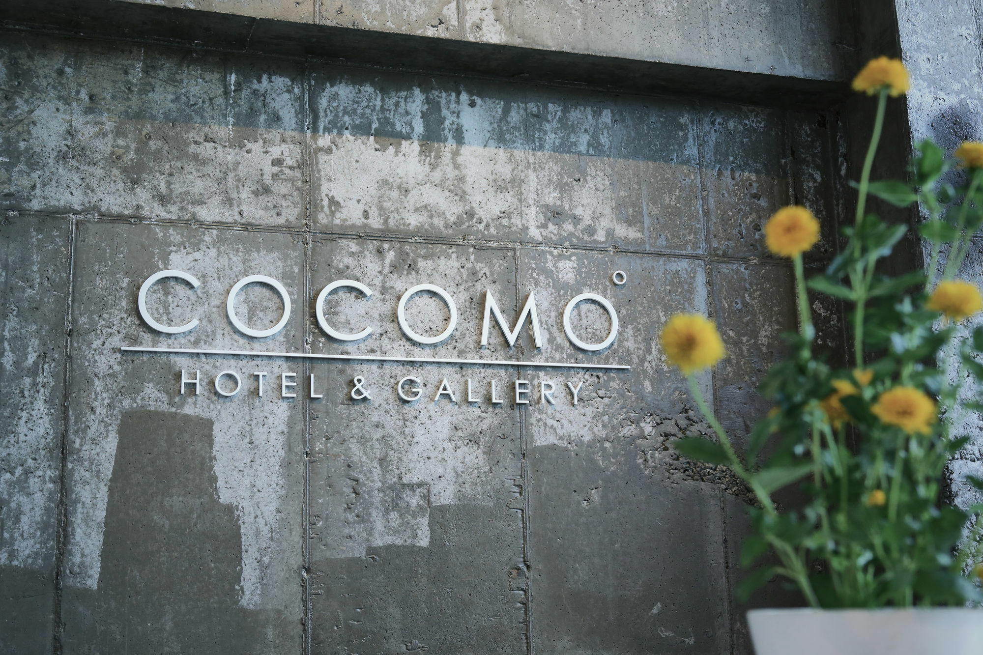 Hotel Cocomo Seoul Eksteriør billede